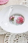 Closeup view of a plastic spoon and carnations floating in a dish — Stock Photo