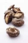 Champignons shiitake séchés — Photo de stock