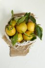 Mandarino con foglie nel cestino — Foto stock