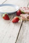 Joghurt, Erdbeeren und Reisknacker — Stockfoto
