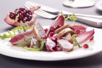 Closeup view of goose breast with pomegranate seeds on radicchio salad — Stock Photo