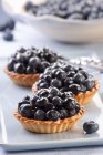 Blueberry tartlets in plate — Stock Photo