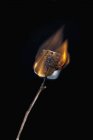 Marshmallow am Stock verbrennen — Stockfoto