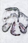 Crevettes tigrées noires — Photo de stock