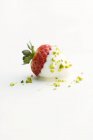 Erdbeere in weiße Schokolade getaucht — Stockfoto