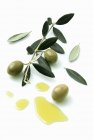 Rama de olivo con gotas de aceitunas - foto de stock