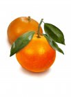 Mandarines de fesh aux feuilles — Photo de stock