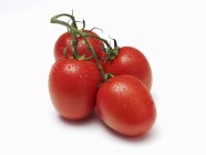 Quatro tomates molhados com videira — Fotografia de Stock