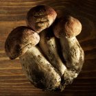 Свіжі cep гриби — стокове фото