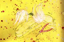 Фенхель, кабачки и ломтики чили, лежащие в оливковом масле — стоковое фото