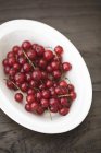 Bowl of ripe redcurrants — Stock Photo