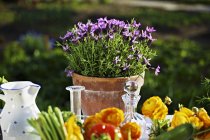 Frisches Gemüse und Blumen auf einem sommerlichen Tisch im Freien — Stockfoto
