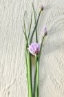 Closeup view of Chive flowers and green stems on wooden surface — Stock Photo