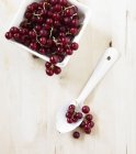 Organic Red Currants — Stock Photo