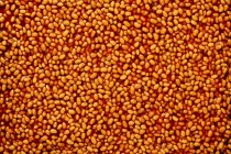Baked beans scattered on red surface — Stock Photo
