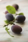 Ripe plums with leaves — Stock Photo