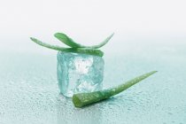 Aloe vera with ice cube — Stock Photo