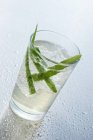 Aloe vera boisson — Photo de stock