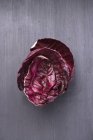 Red cabbage leaves — Stock Photo
