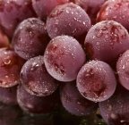 Raisins rouges avec gouttelettes d'eau — Photo de stock