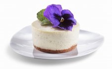 Gâteau au fromage vanille française — Photo de stock