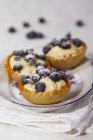 Blueberries tartlets with lavender flowers — Stock Photo