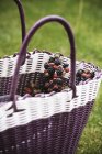 Wild blackberries in basket — Stock Photo