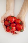 Tomates vermelhos frescos em mãos — Fotografia de Stock