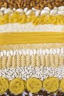 Spaghetti, wheel and conchiglie pasta in rows — Stock Photo