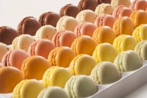 Rangées de macarons assortis — Photo de stock