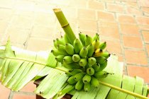 Пучок зелених бананів — стокове фото