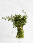 Bunch of Thyme Tied with Twine — Stock Photo