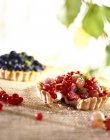Gooseberry and Blueberry Tarts — Stock Photo