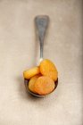 Dried apricots on spoon — Stock Photo