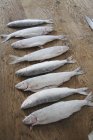 Белые рыбки, запыленные в муке — стоковое фото