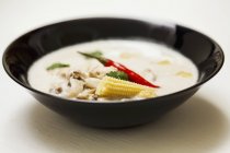 Тайский куриный и кокосовый суп — стоковое фото