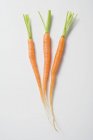 Молодий морквою з стебла — стокове фото