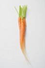 Молодая морковь со стеблями — стоковое фото