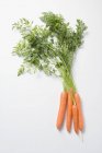 Fresh carrots with tops — Stock Photo