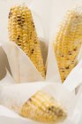Gegrillter Mais auf dem Maiskolben — Stockfoto