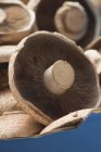 Fresh Portobello mushrooms — Stock Photo