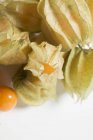 Physalis-Früchte mit und ohne Umhang — Stockfoto