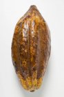 Fruta fresca del cacao - foto de stock