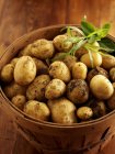 Pommes de terre et herbes fraîches cueillies — Photo de stock