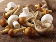 Fresh Button and oriental mushrooms — Stock Photo