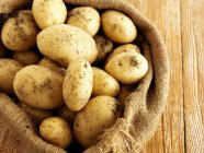 Fresh picked potatoes in jute sack — Stock Photo