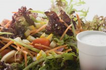 Салат листья с овощами — стоковое фото