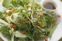 Feuilles de salade avec vinaigrette balsamique — Photo de stock