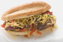 Сэндвич со стейком и перцем — стоковое фото