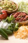 Salsa and wrap ingredients — Stock Photo